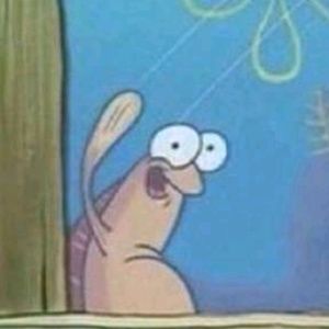 Meet your Posher, Joey